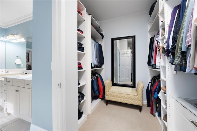 spacious closet featuring light colored carpet and sink