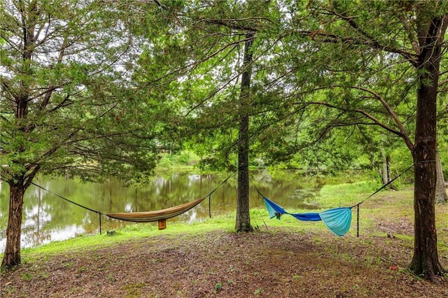 1182 Cedar Rd, Lincolnton, GA 30817 - view of community with a water view