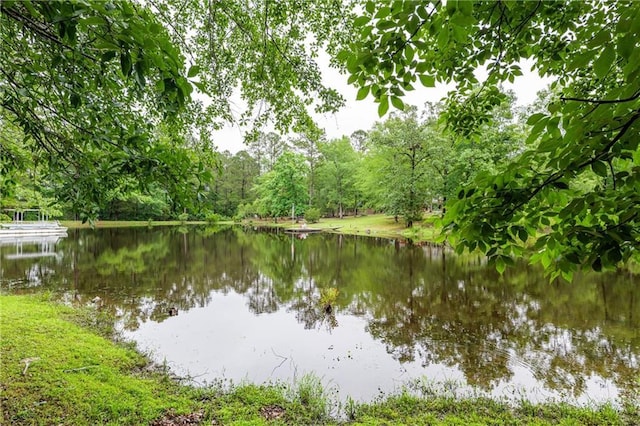 1182 Cedar Rd, Lincolnton, GA 30817 - water view featuring a heavily wooded area
