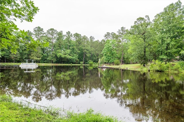 1182 Cedar Rd, Lincolnton, GA 30817 - water view with a heavily wooded area