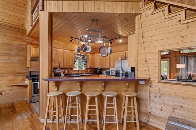 1182 Cedar Rd, Lincolnton, GA 30817 - kitchen featuring appliances with stainless steel finishes, track lighting, wooden walls, dark countertops, and wooden ceiling