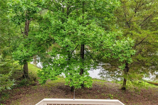 1182 Cedar Rd, Lincolnton, GA 30817 - view of yard