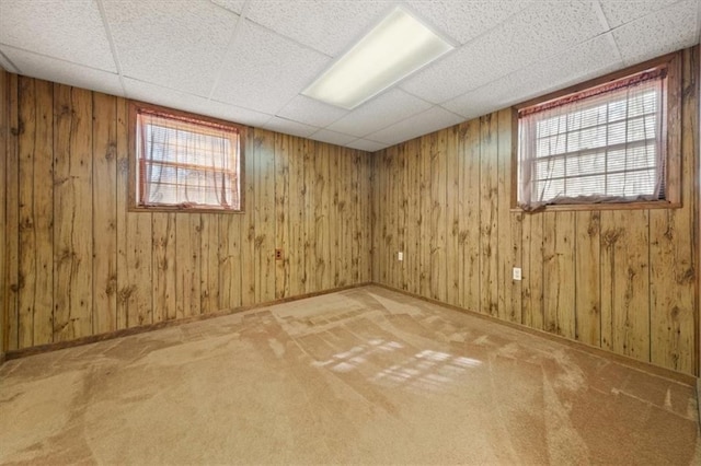 empty room featuring wood walls and carpet flooring