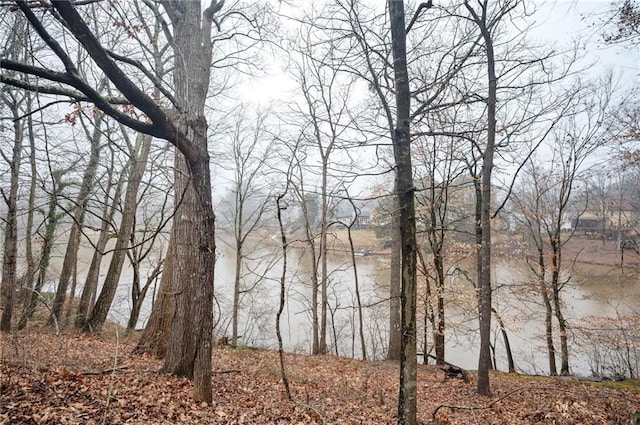 4157 Lake Mist Dr NW, Kennesaw, GA 30144 - water view