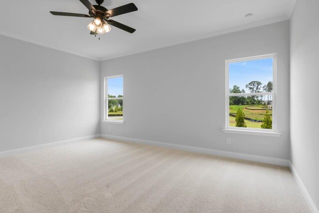 39 Pecan Ct, Hoschton, GA 30548 - spare room featuring ceiling fan, ornamental molding, and carpet flooring