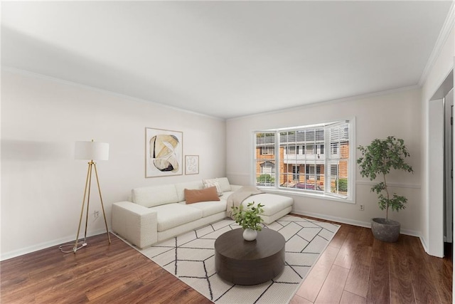 living room with crown molding and wood-type flooring