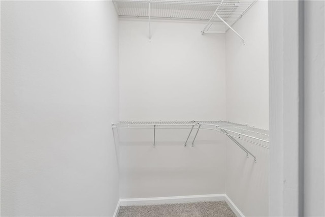 walk in closet with carpet