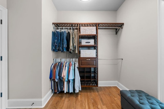 7251 Bluewater Ln, Douglasville, GA 30135 - spacious closet with wood finished floors