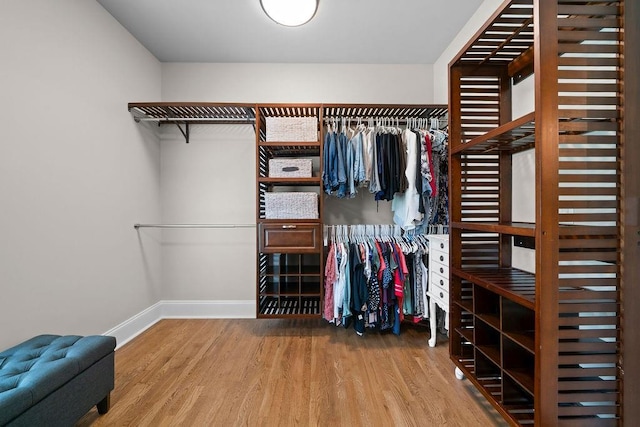 7251 Bluewater Ln, Douglasville, GA 30135 - spacious closet with wood finished floors