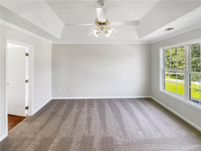 empty room featuring plenty of natural light, carpet, ceiling fan, and a raised ceiling