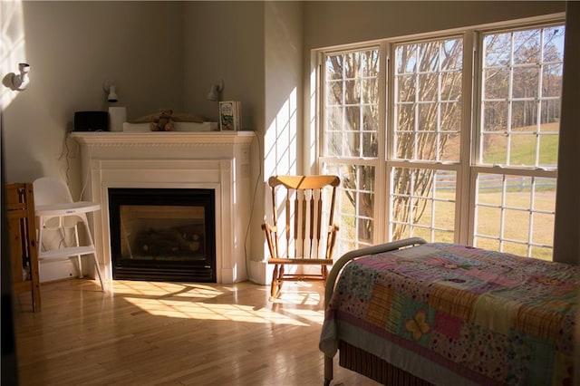 sitting room featuring light hardwood / wood-style floors