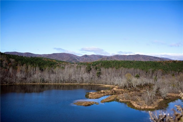 water view with a mountain view