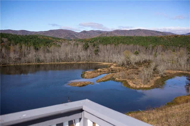 water view featuring a mountain view