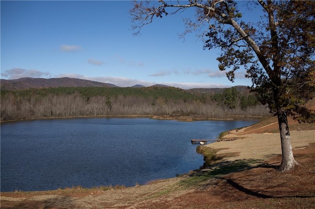 property view of water featuring a mountain view