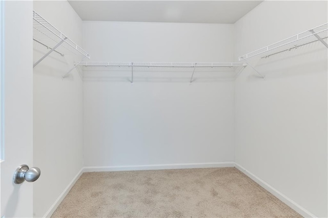 spacious closet featuring carpet floors