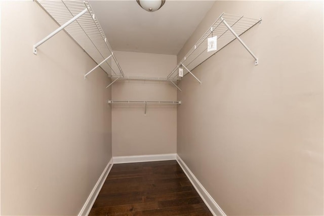 walk in closet with wood finished floors