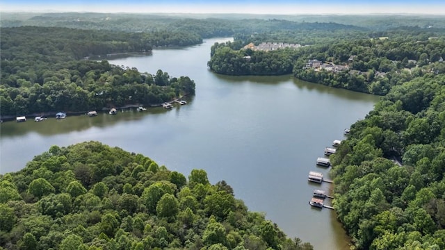 221 Hickory Nut Trl, Dawsonville, GA 30534