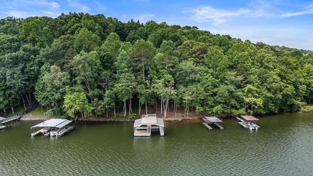 221 Hickory Nut Trl, Dawsonville, GA 30534