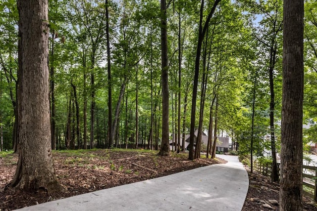 221 Hickory Nut Trl, Dawsonville, GA 30534