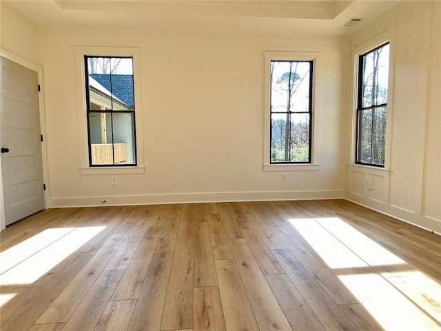 9224 Waldrip Rd, Gainesville, GA 30506 - empty room with plenty of natural light, light wood-style flooring, and a tray ceiling