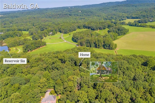 bird's eye view with a forest view