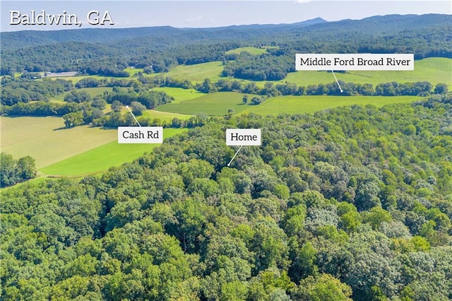 birds eye view of property with a mountain view and a forest view