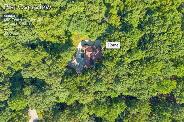 bird's eye view