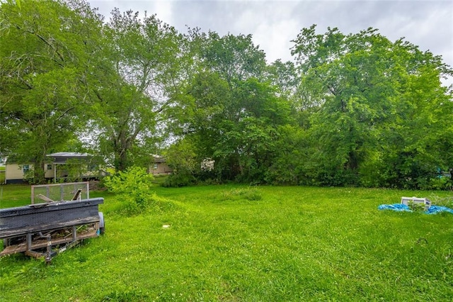 600 Forrest Rd, Fort Oglethorpe, GA 30742 - view of yard