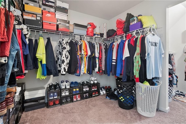 walk in closet with carpet flooring