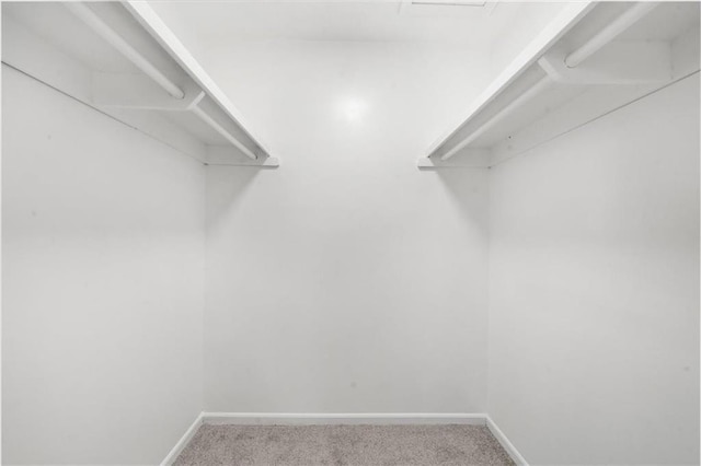 spacious closet featuring carpet flooring