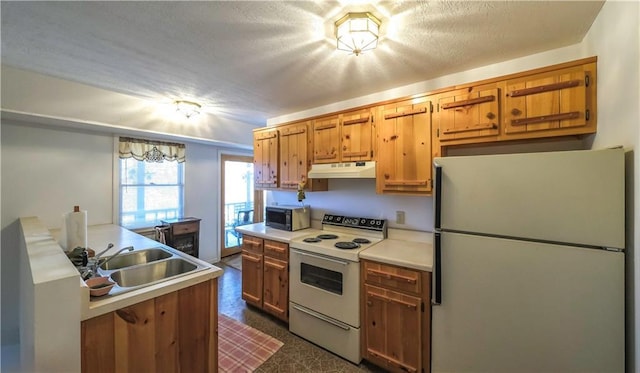 kitchen featuring under cabinet range hood, white appliances, a sink, light countertops, and brown cabinets