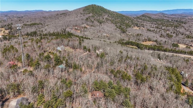 property view of mountains