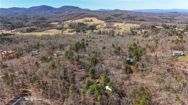 bird's eye view featuring a mountain view