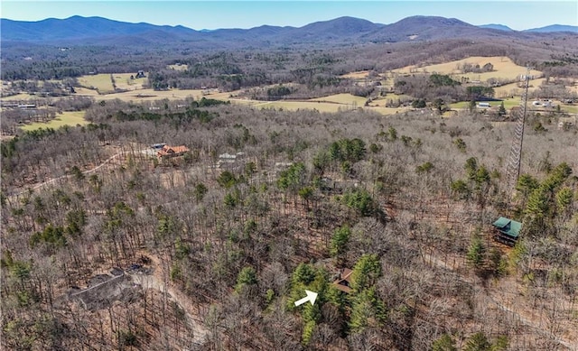 bird's eye view featuring a mountain view