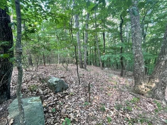 860 Cloudland Trce, Chickamauga, GA 30707