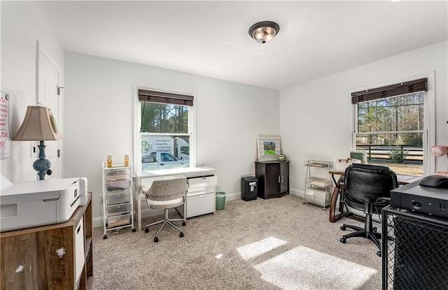 carpeted home office with a wealth of natural light