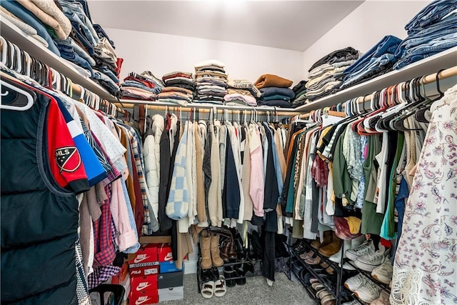 spacious closet featuring carpet floors