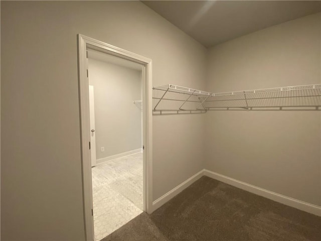 walk in closet featuring carpet flooring