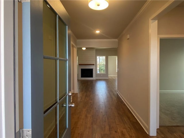 hall featuring ornamental molding and dark wood-type flooring