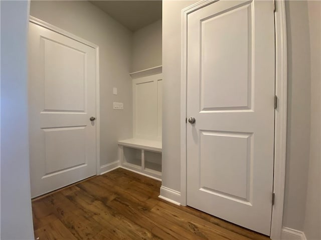 mudroom with dark wood-type flooring