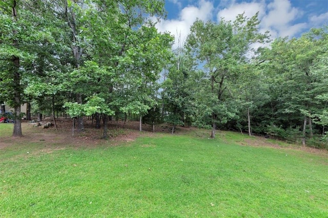 5514 E Stoneway Ct, Villa Rica, GA 30180 - view of green lawn