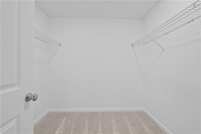 3019 Orwell Dr, Gainesville, GA 30507 - walk in closet featuring light colored carpet