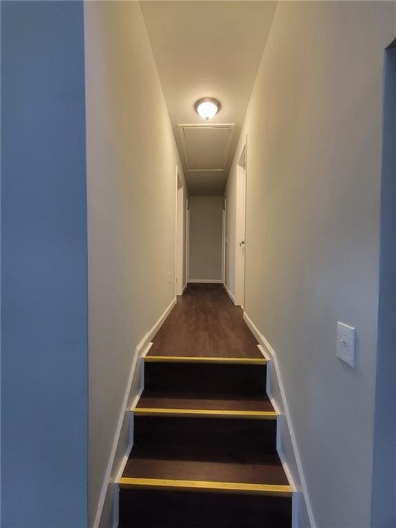 stairs featuring hardwood / wood-style flooring