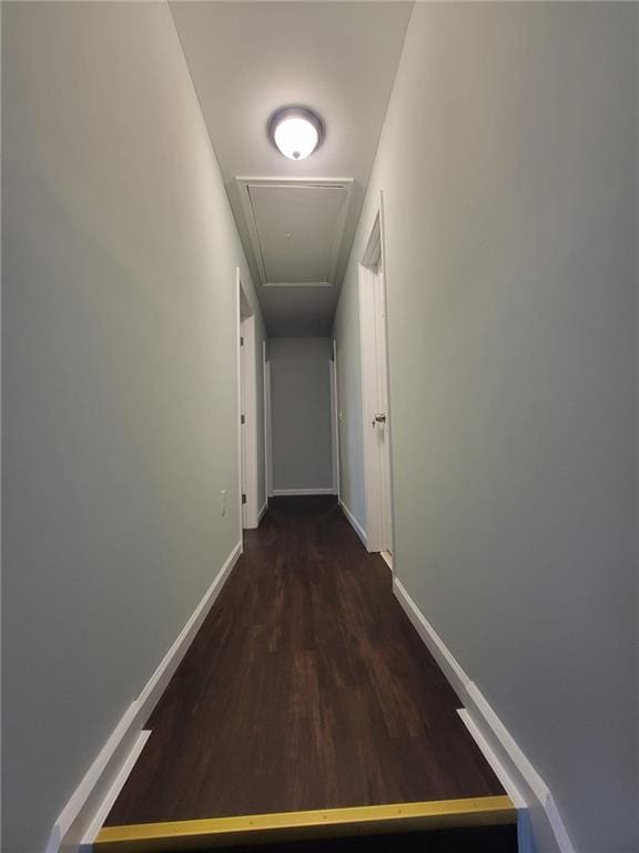 hall featuring dark hardwood / wood-style flooring