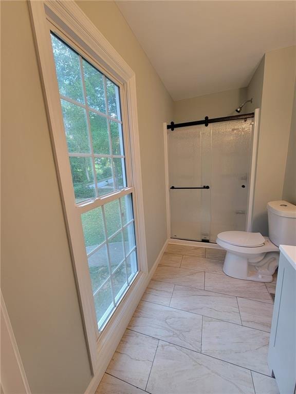 bathroom with vanity, toilet, and an enclosed shower