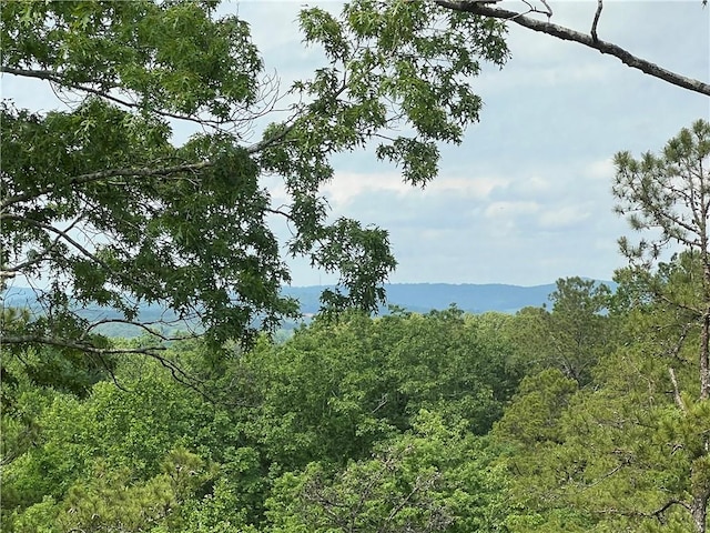 35 Bridgestone Way SE, Cartersville, GA 30120 - view of tree filled area