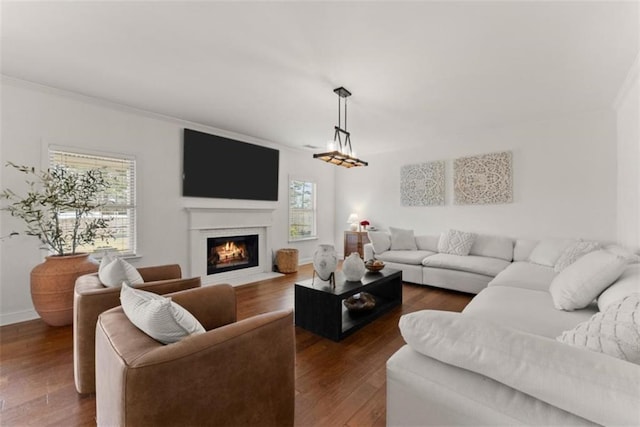 living room with dark hardwood / wood-style flooring, a wealth of natural light, and ornamental molding