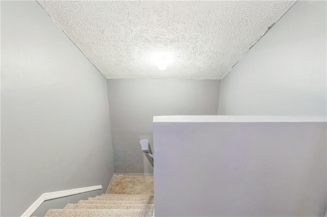 504 J C Daniel Rd, Carrollton, GA 30117 - staircase featuring a textured ceiling, carpet flooring, and baseboards