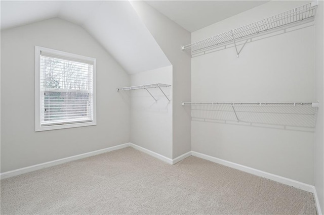 walk in closet featuring carpet flooring and vaulted ceiling