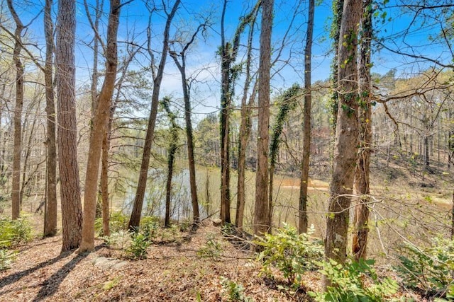 481 Patillo Rd, Stockbridge, GA 30281 - view of wooded area